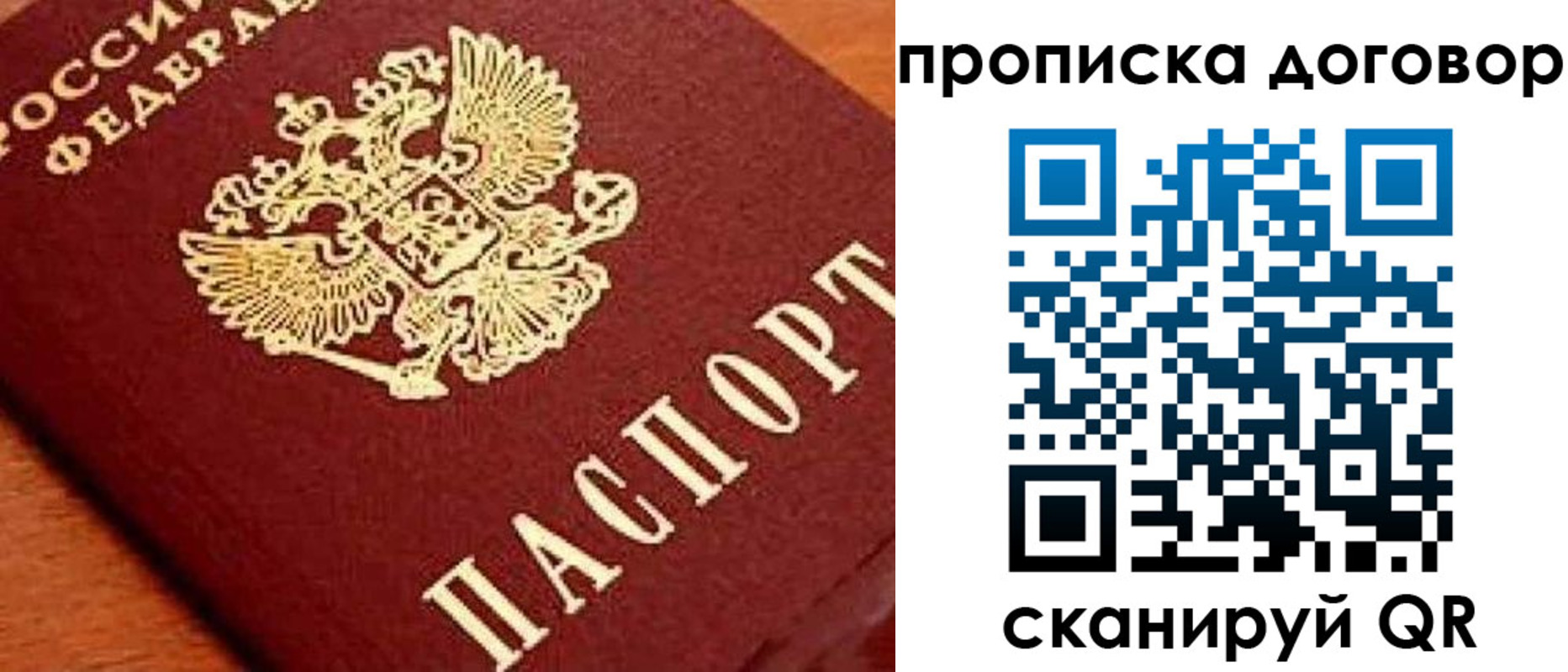 прописка поиск в Приозерске